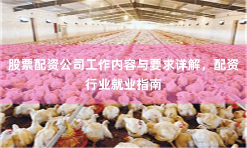 股票配资公司工作内容与要求详解,配资行业就业指南