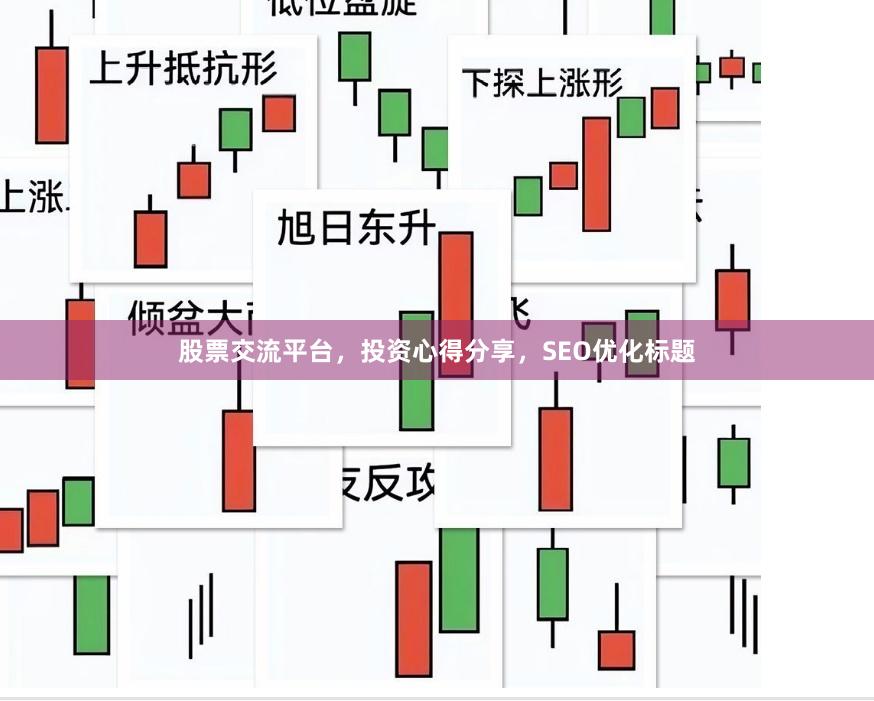 股票交流平台，投资心得分享，SEO优化标题